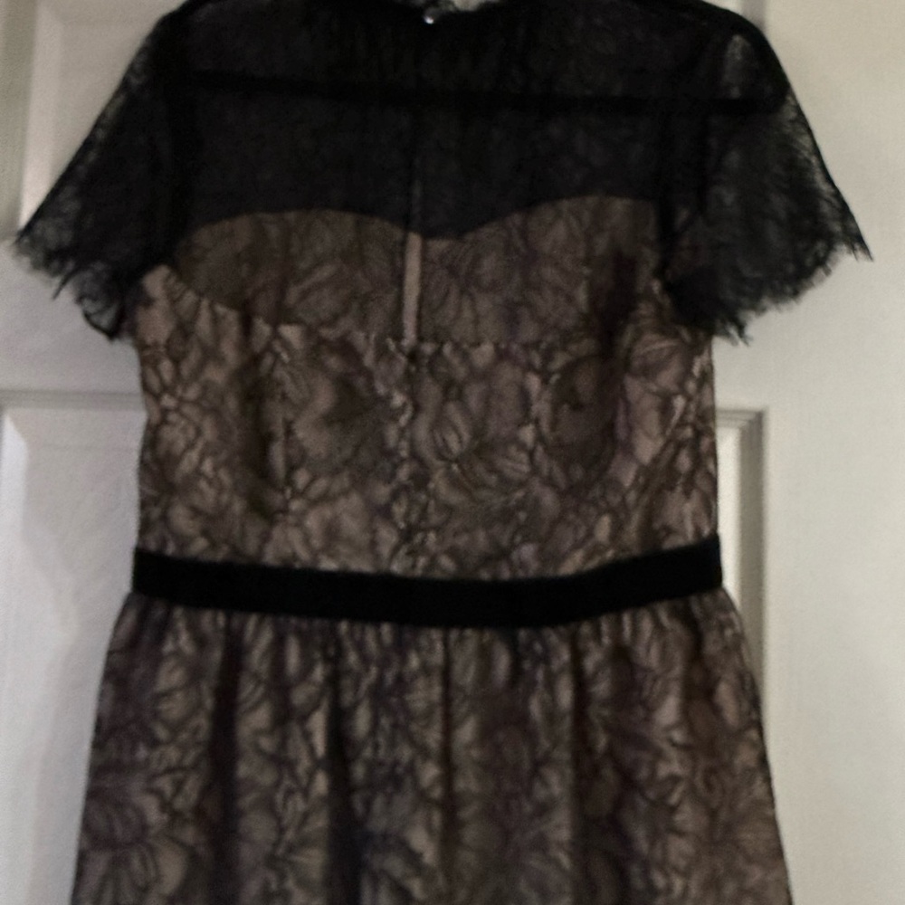 White House Black Market Fitted Lace Blouse Black and Cream